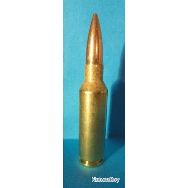 UNE!!!  CARTOUCHE cal. 300 REMINGTON SHORT ACTION ULTRA MAGNUM