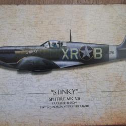 plaque décoration 20 X 30 spitfire RAF collection militaire Spitfire Mk  Duane Beeson