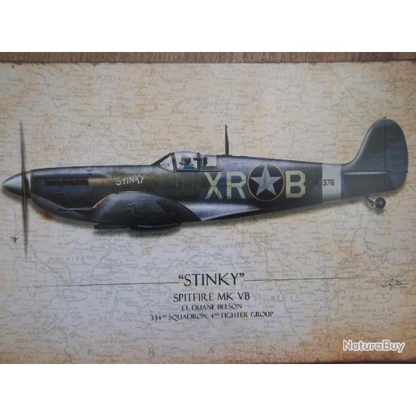 plaque dcoration 20 X 30 spitfire RAF collection militaire Spitfire Mk  Duane Beeson