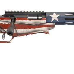 Ruger Precision Rimfire 22 lr 18" drapeau Américain