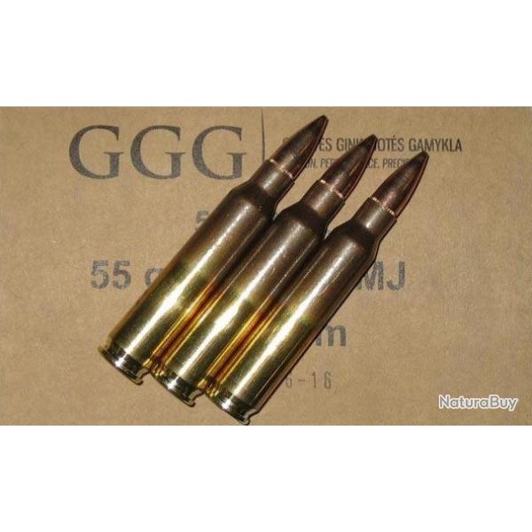 CAISSE CARTOUCHES GGG .223 FMJ 55gr x1000