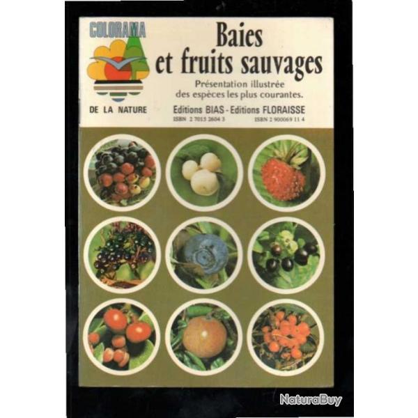 baies et fruits sauvages  colorama de la nature