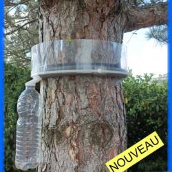 Piège à chenilles processionnaires: Kit n°4 pour arbres de 181 à 220 cm de circonférence