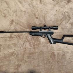 Crosman 2250XL CO2 ratcatcher custom