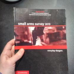 small arm survey 2013 Small Arms Survey 2013: Everyday Dangers