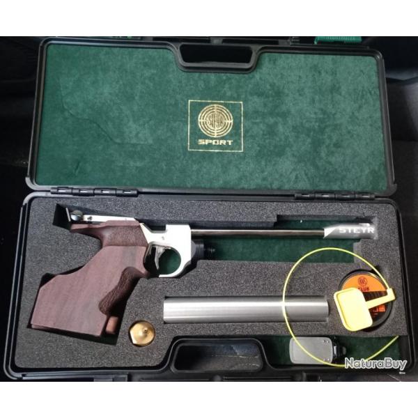 Steyr lp2 gaucher