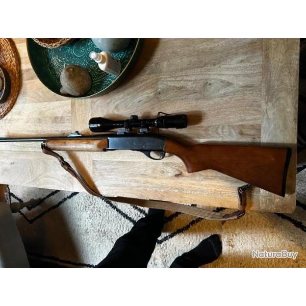  vendre carabine Remington Sportsman 74 calibre 289 avec lunette de vise longue porte + munitions