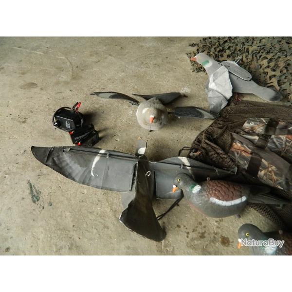 LOT CHASSE PIGEONS