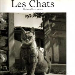 les chats photographies et poèmes