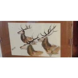 Etude tete de cerfs de Thierry Faure (aquarelle)