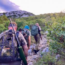 la chasse du mouflon en Croatie avec l'association un monde de chasse