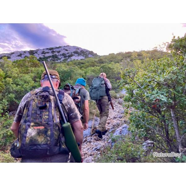 la chasse du mouflon en Croatie avec l'association un monde de chasse