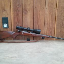 17 hmr CZ 455