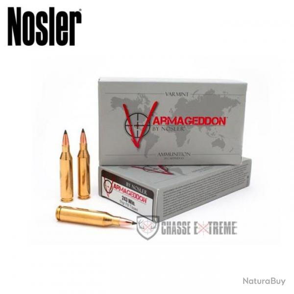 20 Cartouches NOSLER VGA Cal 243 Win 55Gr VG FBT