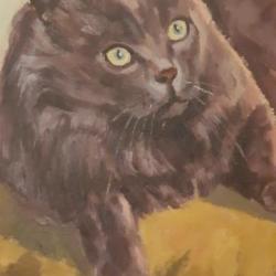 Huile sur toile 60&times;50 le Chat sur son coussin sign&eacute; dat&eacute; voir photos