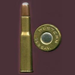 .303 SAVAGE - marquage : WESTERN 303 SAV - balle cuivre pointe plomb arrondie