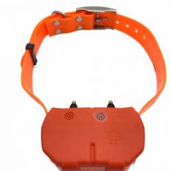 Collier repérage/dressage Hunt Power Dogze - Orange