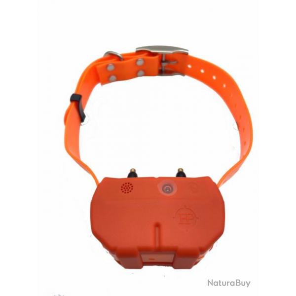 Collier reprage/dressage Hunt Power Dogze - Orange