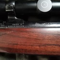 Weatherby .224 + lunette Schmidt & Bender + une centaine de cartouches