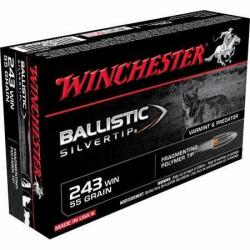 WINCHESTER Ballistic silvertip  243 WINCHESTER   55Gr