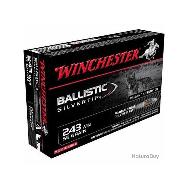 WINCHESTER Ballistic silvertip  243 WINCHESTER   55Gr