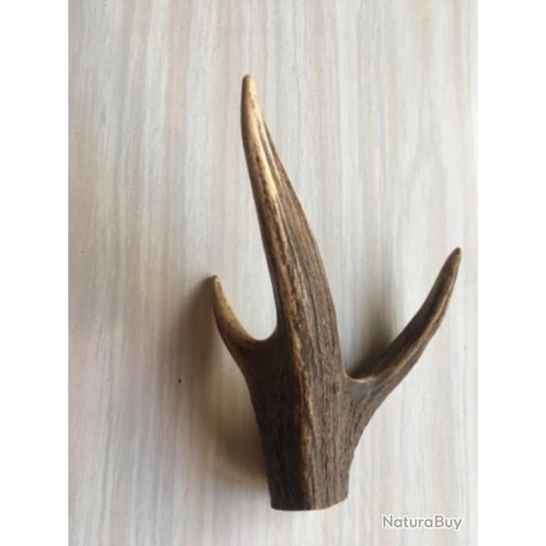 Chute de Bois de cerf  (15)