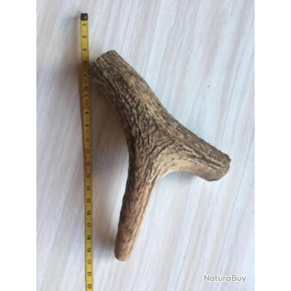 Chute de Bois de cerf  (24)