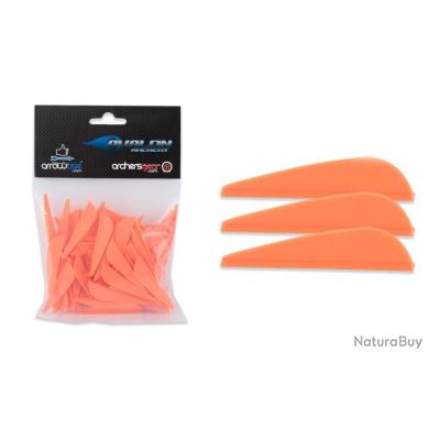 Lot de 100 plumes Easton BTV - Vêtements, chaussures, ballons