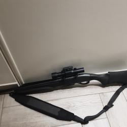 Remington woodmaster 750 calibre 30 06+ aimpoint9000cs