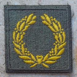 Patch US WW2 Distinguished Unit Citation