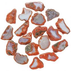 Petites tranches d'agate rouge - 2 à 4 cm - Lot de 5