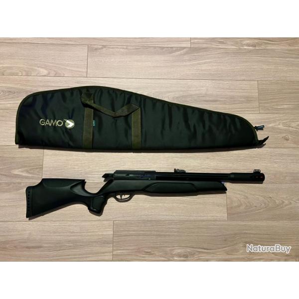 Carabine  plombs PCP Gamo Arrow