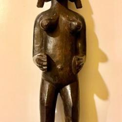 Statut africaine