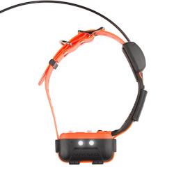 NOUVELLE GENERATION Collier CANICOM GPS 2 NUM'AXES