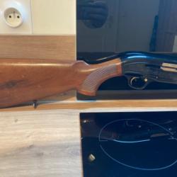 Beretta a 303