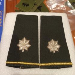 passants d'epaule officier armée us LIEUTENANT COLONEL ORIGINAL