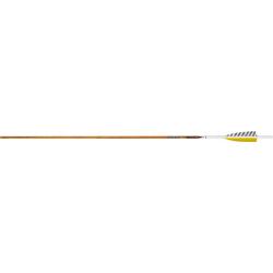 Lot de 12 tubes Easton Legacy en carbone 600