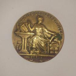 Médaille - bronze - femme représentant le commerce et industrie.