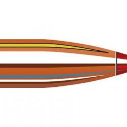 OGIVES HORNADY 22 CAL.224 50GR V-MAX (22261)