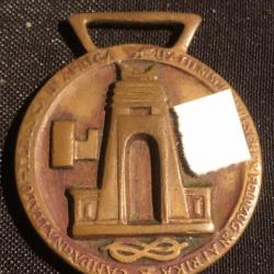 insigne medaille  ww2 de la campagne d afrique allemande  italienne