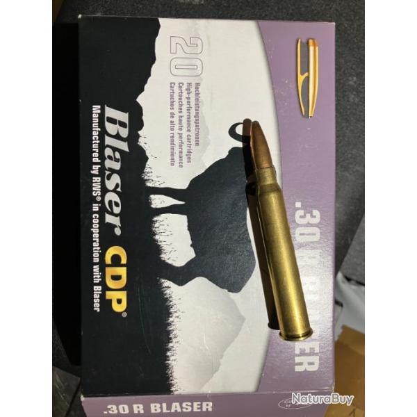 Munitions 30 R Blaser