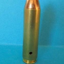 UNE  cartouche cal. 450 BUSHMASTER PAR HORNADY balle " FTX"  NEUTRALISEE