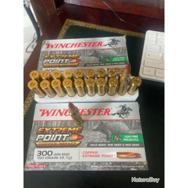 Balles pour carabine Winchester extrem point copper impact CUIVRE  CAL 300WM 150 GRS - 9,7G