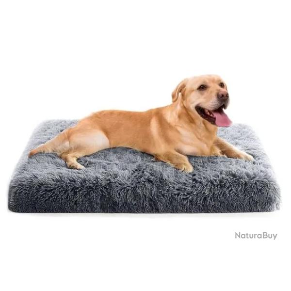 Coussin Dhoussable Chien Gris Fonc Mousse  Mmoire Lavable 100x60x10 cm