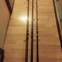 Canne a carpe Daiwa procaster