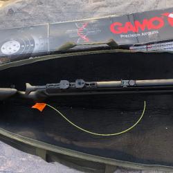 Pack Carabine Gamo Arrow 5.5 un