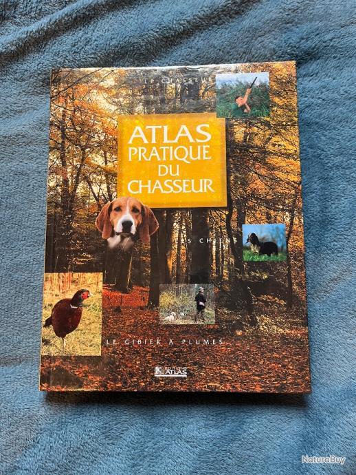 Chien de rapport pour la chasse : Comment s'y prendre