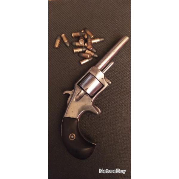 Revolver 22 short