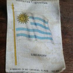 national  flag  URUGUAY  " usa " 1934 kensitas