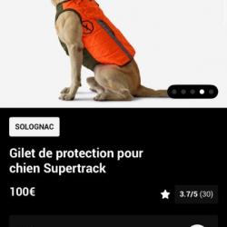 gilet chien chasse x3